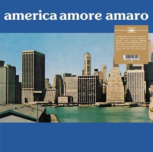 America Amore Amaro (with Luciano Simoncini) - Vinile LP di Remigio Ducros