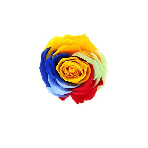 Flowercube Rosa Stabilizzata Profumata 8x8 Rainbow - 2
