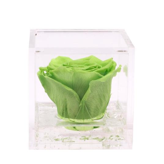 Flowercube Rosa Stabilizzata Profumata 10x10 Colore Verde Idea Regalo