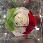 Flowercube Flowercube Rosa Stabilizzata Profumata 10 x 10 Italia
