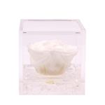 Mini Flowercube Rosa Stabilizzata Profumata 4.5x4.5 Colore Bianco Idea Regalo