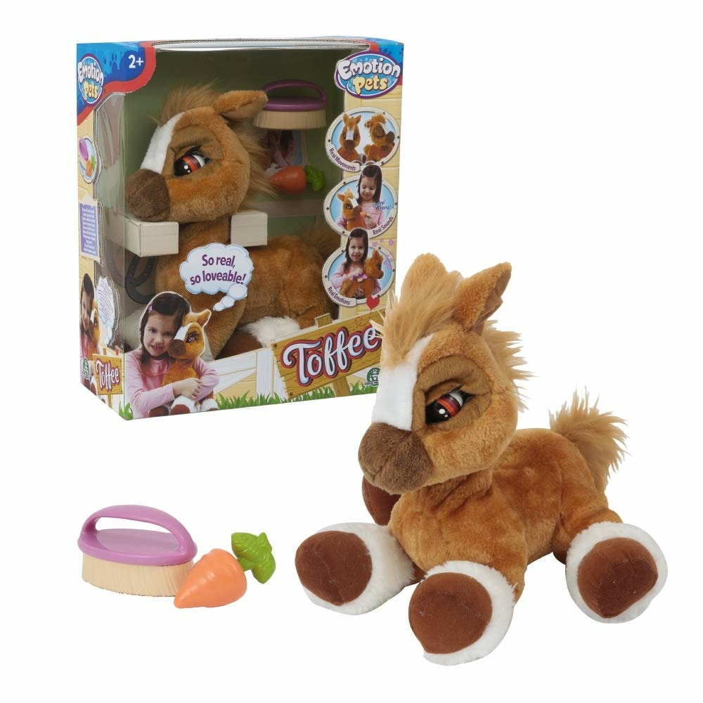 Magic Toys