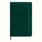 Taccuino Moleskine velvet large a righe verde box