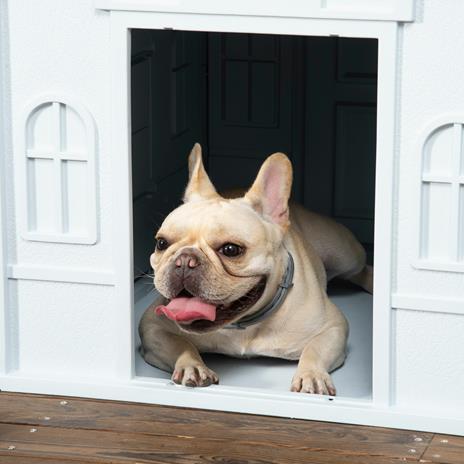 PawHut Cuccia per Cani di Taglia Media e Piccola max 20kg in PP Impermeabile, 65x75.7x63 cm, Blu - 5