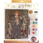 Diamantiny Ron Harry Potter Wizarding Yume Fantasy Nice 21008 21011