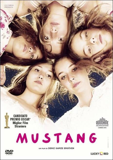 Mustang di Deniz Gamze Ergüven - DVD