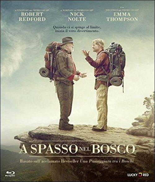 A spasso nel bosco di Ken Kwapis - Blu-ray