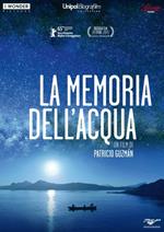 La memoria dell'acqua (DVD)