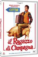 Film Il ragazzo di campagna (DVD) Pipolo Franco Castellano