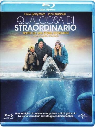 Qualcosa di straordinario (Blu-ray) di Ken Kwapis - Blu-ray