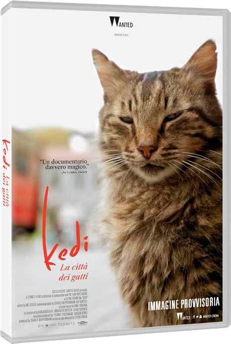 Kedi. La città dei gatti (DVD) di Ceyda Torun - DVD