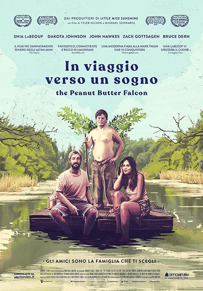 In viaggio verso un sogno (DVD) di Tyler Nilson,Michael Schwartz - DVD
