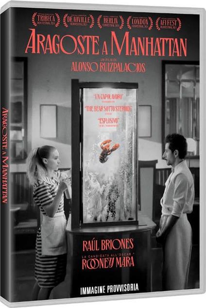 Aragoste a Manhattan (DVD) di Alonso Ruizpalacios - DVD