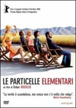 Le particelle elementari