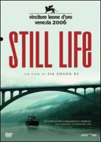 Still Life di Jia Zhang Ke - DVD