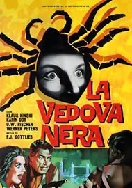 La Vedova Nera (Restaurato In Hd) (DVD)