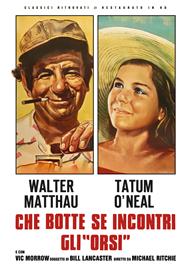 Che Botte Se Incontri Gli Orsi (Restaurato In Hd) (DVD)