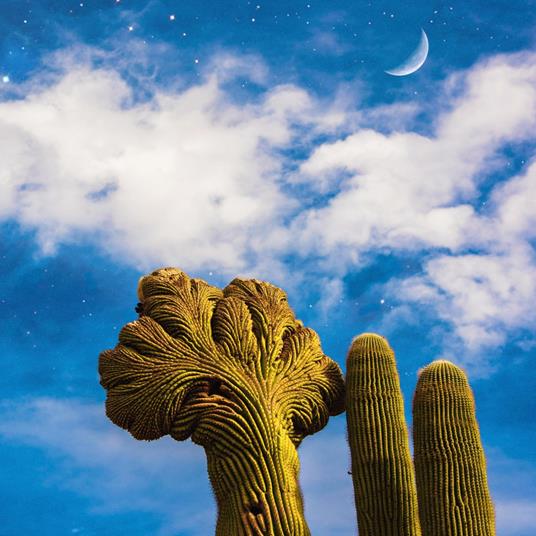 Radici - Vinile LP di Diespnea