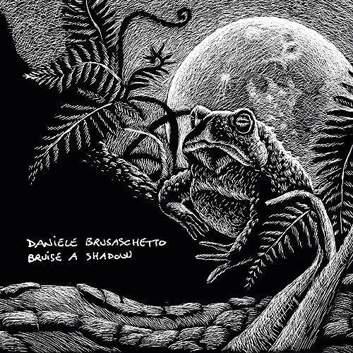 Bruise A Shadow - CD Audio di Daniel Brusaschetto