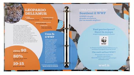 Copertina ad Anelli Maxi Extra 30Mm Wwf - 2