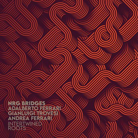 Intertwined Roots - CD Audio di NGR Bridges