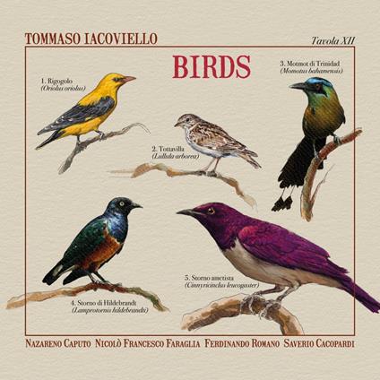 Birds - CD Audio di Tommaso Iacoviello