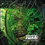 Swirl in Gravity - Vinile LP di Electric Swan
