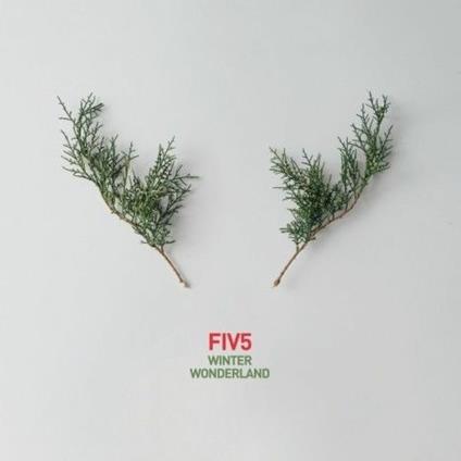 Winter Wonderland - CD Audio di Fiv5