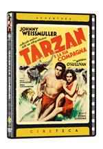 Tarzan e la sua compagna (Cineteca Avventura) (DVD)