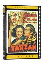Il figlio di Tarzan (Cineteca Avventura) (DVD)