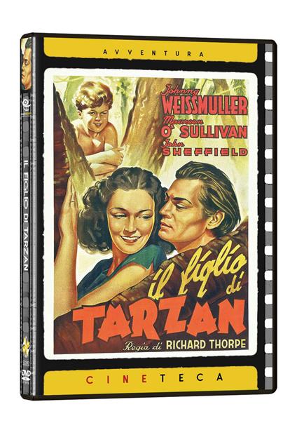 Il figlio di Tarzan (Cineteca Avventura) (DVD) di Richard Thorpe - DVD