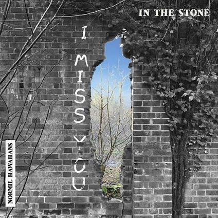 In The Stone - Vinile LP di Normil Hawaiians