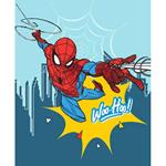 Plaid Soft Touch 100X150 Spiderman