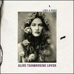 Like a Rose - Vinile LP di Alice Tambourine Lovers