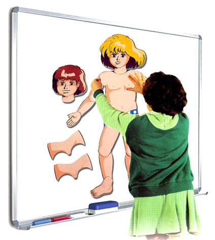 Schema Corporeo Con Lavagna E Magneti