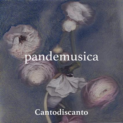 Pandemusica - CD Audio di Cantodiscanto