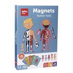 Apli kids- Informazioni sul Corpo Umano Gioco Magnetico, Multicolore, 18531