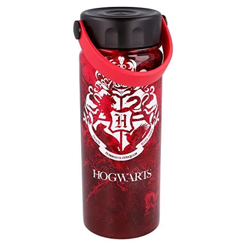 Stor Borraccia in Acciaio Inox Thermos con Manico 530 ml Harry Potter, TERMOS, Harrypoter, Estándar, Nero, Ciano, Magenta, Giallo, Rendement Standard - 2