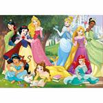 500 Principesse Disney