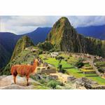 1000 Machu Picchu, Perù