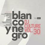 DJ Culture vol.30