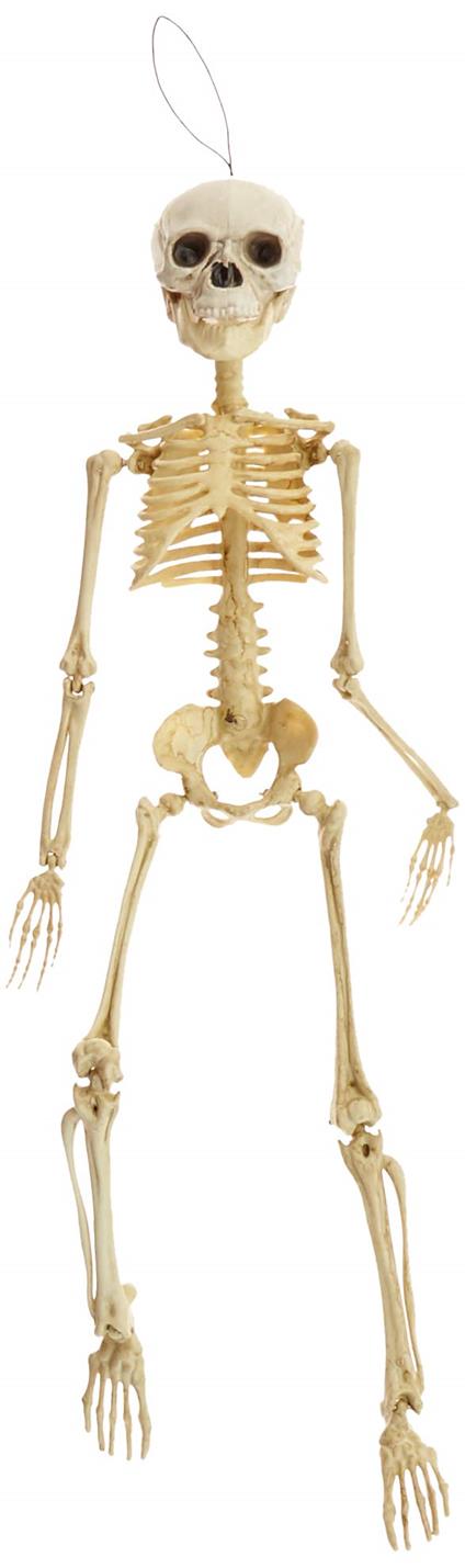 Rubies: Skeletons - Scheletro Pendente 45 Cm