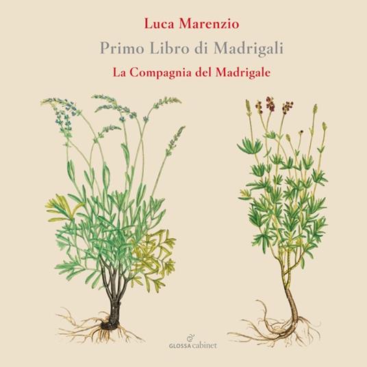 Primo Libro di Madrigali - CD Audio di Luca Marenzio,Compagnia del Madrigale