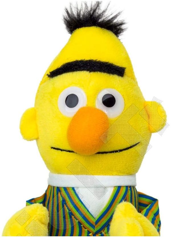 ACS Anime Caffè Store