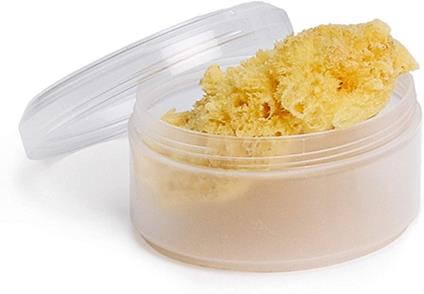 Spugna Naturale Piccola con Scatola