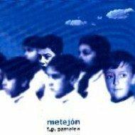Metejon - CD Audio di Fernando Samalea