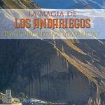 Pastorcita De Amancay
