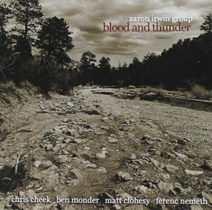 Blood and Thunder - CD Audio di Aaron Irwin