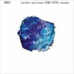 Brinks - CD Audio di Daniel Fortin