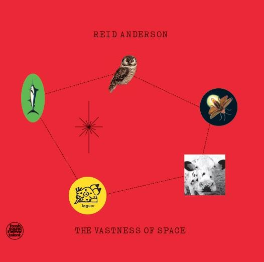 The Vastness Of Space - Vinile LP di Reid Anderson